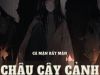 Chậu Cây Cảnh Chí Mạng